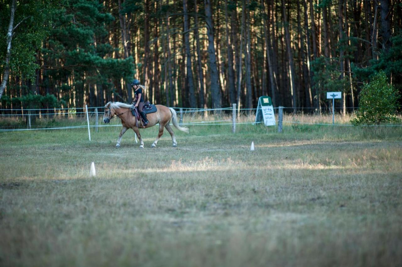 Traumhaff Denkmalgeschuetzter Amalienhof Sauna, Offener Kamin, Hund Ahlbeck  Buitenkant foto